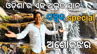 Odisha ra Best picnic place  Ashok jhar  jajpur Road Panchuka special village vlog [upl. by Eikcuhc]