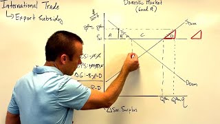 International Trade Export Subsidies [upl. by Eiveneg]