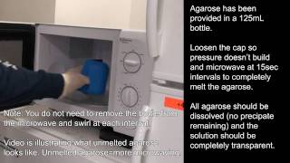 Agarose Gel Preparation [upl. by Lasyrc523]