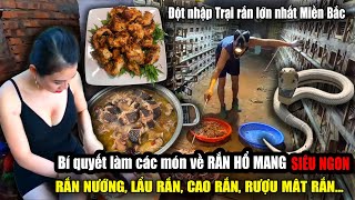 Nuôi rắn hổ mang kiếm tiền tỉ Cách chế biến các món ăn từ rắn hổ mang siêu ngon  Viet Nam Food [upl. by Fae]