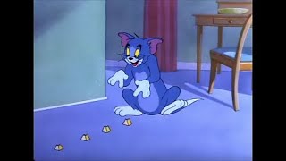 Tom and Jerry  NitWitty Kitty 1951 [upl. by Hsemar]