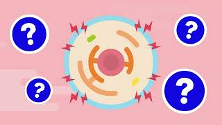 Emerging Therapeutics for APOL1Mediated Kidney Disease [upl. by Nemzzaj827]