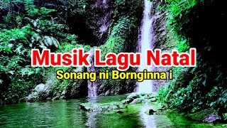 Sonang ni Borngin nai musik lagu natal 🔵 instrument lagu Natal Malam Kudus lagunatal [upl. by Hillary816]