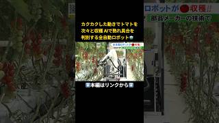 ⬆️本編はリンクから⬆️モノづくりの技術活かす…農業用の『全自動収穫ロボット』デンソーなどが共同開発 トマト等の収穫効率アップ [upl. by Quenna]