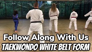 TaeKwonDo White Belt Basic Form One Tutorial practice loops [upl. by Yenmor]