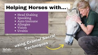 Helping Horses with Head Shaking Spooking Auto Immune amp Allergies Cranial Sacral  April Love [upl. by Avraham]