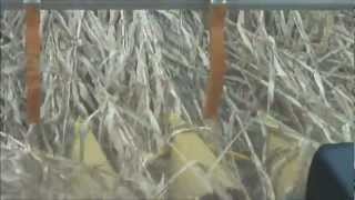 Reichhardt Row Guidance in Downed Corn [upl. by Lotus]