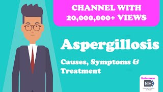 Aspergillosis  Causes Symptoms amp Treatment [upl. by Zellner]