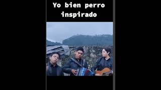 No solo la música es vida también los versos y poemas👏😢 [upl. by Arbed752]