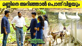 പാലക്കാട് പള്ളത്തേരിയിൽ രാജീവിന്റെ സമഗ്ര പുരയിട കൃഷി കാഴ്ചകൾ  Rajeev Farm  Haritham Sundaram EP456 [upl. by Koball]