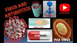 Virus  General Properties  Morphology  Nucleic acid of Virus [upl. by Redliw]