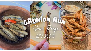 Grunion Run  San Diego 072023 [upl. by Schlesinger]