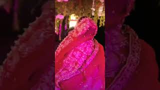 Tujhko hi Dulhan banaunga song ❤️ hindisong wedding viralvideo [upl. by Lorianne780]