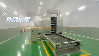 Sweet potato starch instant noodle processing line Instant starchy noodle making machine [upl. by Amieva]