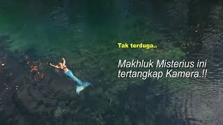 Episode 94  Awalnya sungai ini Tenang Setelah Beberapa Lama terlihat Putri Duyung Berenang [upl. by Edniya665]