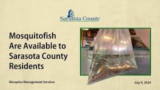 Mosquitofish Are Available to Sarasota County Residents [upl. by Atkins]