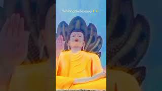 Sankassapura senasanaya 🙏🙏 buddhism in srilanka  Dabulla  ☸️ [upl. by Inanak]