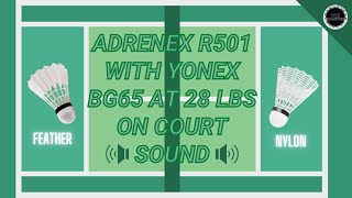 On court sound  Adrenex R501 with Yonex BG65 at 28 lbs [upl. by Eerised244]