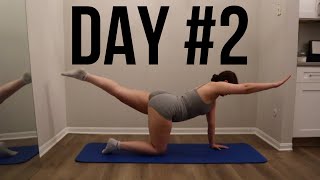 Day 2 Pilates 30 Day Workout Challenge At Home Fitness No Equipment [upl. by Allsun]