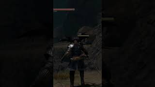 DarkSouls2 SeekerOfFire never gets old shorts [upl. by Belmonte]