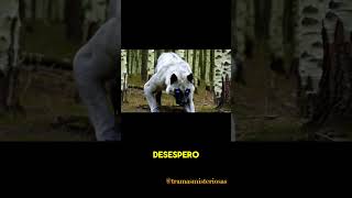 Wendigo Parte 4 creepypasta wendigo scary pesadelo [upl. by Radec283]