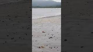 Playa puerto viejo Guanacaste para ver video completo síguenos en nuestro canal [upl. by Canning]