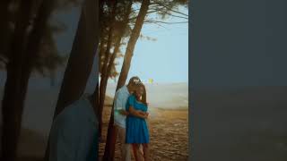 Chaleya💝❤ lyrics songs youtubeshorts lovesong [upl. by Ativla]