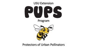 PUPS Types of Pollinators [upl. by Sitsuj]