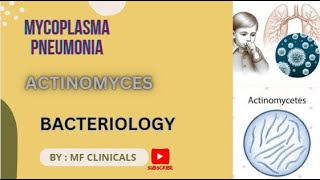 Actinomyces  Mycoplasma pneumonia mbbs bacteriology [upl. by Clemence]