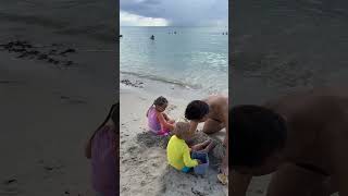 Family playing in sand at oceans edge What treasures can you find in the sand by the ocean [upl. by Lauritz491]