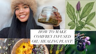 HOW TO MAKE POWERFUL HEALING OIL  COMFREY LEAF [upl. by Lounge]