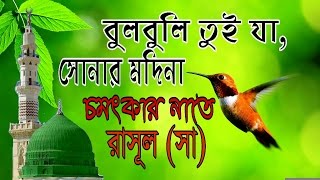 বুলবুলি তুই যা সোনার মদিনাNew bangla naate rasulSAW 2017 [upl. by Odell546]