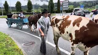 La désalpe🇨🇭Gruyère Fribourg [upl. by Incrocci655]