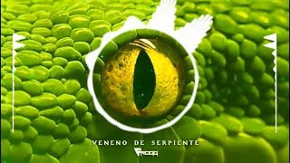 Frogg  Veneno de Serpiente original mix [upl. by Annabelle]