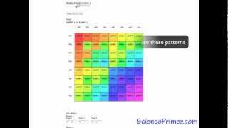 Punnett Square Calculator Overview [upl. by Naira246]