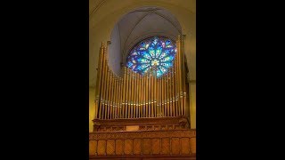 LATRY Dupré Prelude in F min at St Patricks DC [upl. by Nodyroc327]