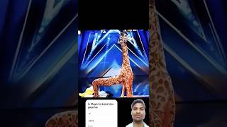 Americas Got Talent Giraffe Magic Duo SchumacherAGT bigai americagottalentmagic [upl. by Llerret]