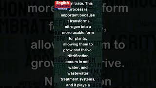 Nitrogen Cycle  91 GCSE and IGCSE Biology  AQA Edexcel CIE OCR WJEC [upl. by Cappello938]