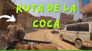 La Ruta de la Coca  Viaje en Bici por Bolivia [upl. by Lotsirk]