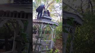 Gazebo Roof Repair hiphop rap roofing hardwork [upl. by Sivram314]