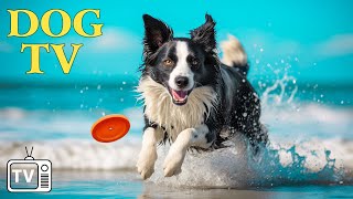 Bring Peace amp Relieve Stress for Dog TV for Dogs amp Video to Entertain and Chill Dog with Music New [upl. by Anitrak]