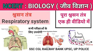 श्वसन तंत्र  Respiratory system  swasan tantra  Compliet Respiratory systemBiologyUpendra maths [upl. by Notla257]