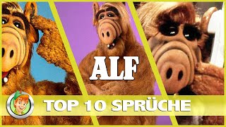 Top 10  ALF Sprüche 2 Deutsch  1986 [upl. by Aronek289]