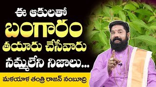 Nalla Vayalaku Vaseekaranam  intresting Facts in Telugu  Malayala Tantri Rajan Nambudri [upl. by Kcirrek94]