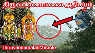 thiruvannamalai miracle  திருவண்ணாமலை அதிசயம்  sithargal  சித்தர்கள் [upl. by Darmit]