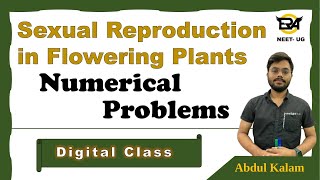 Ch2 Sexual reproduction in flowering plants  Numerical problems  NEET  NCERT  The BioHub [upl. by Ireland]