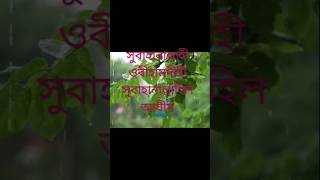 মিজানের পাল্লা ভারী করার দোয়া ২০২৪ সব সময় [upl. by Leahcym]