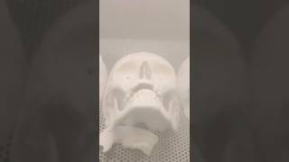 post processing 3d printed skulls [upl. by Ailad]