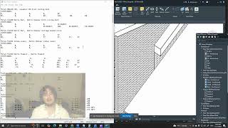 REVIT 2025 Brique appareillage flammand pat file hidden line et rendu [upl. by Selrhc35]