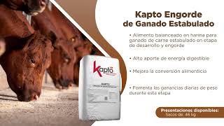 Aumente el rendimiento de su ganado con Kapto Engorde de Ganado Estabulado 🐄💪 [upl. by Divd816]